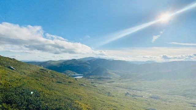 Lenke til artikkel:  Digital kart - Kommunedelplan for Lifjell